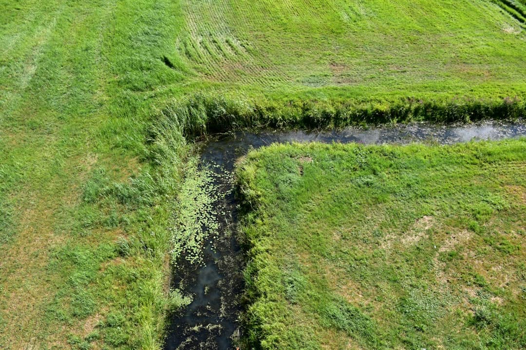 Área rural com nascente em Tremembé — Área